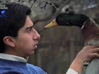 BDPBV2o.gif
