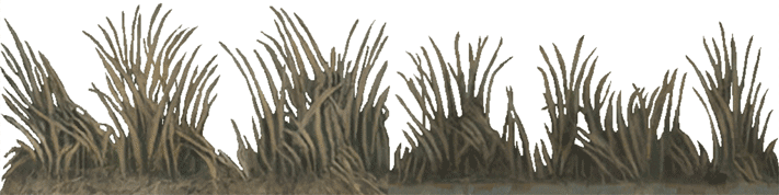 RhSbWO4.gif