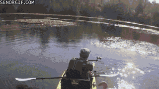 A1UznZC.gif