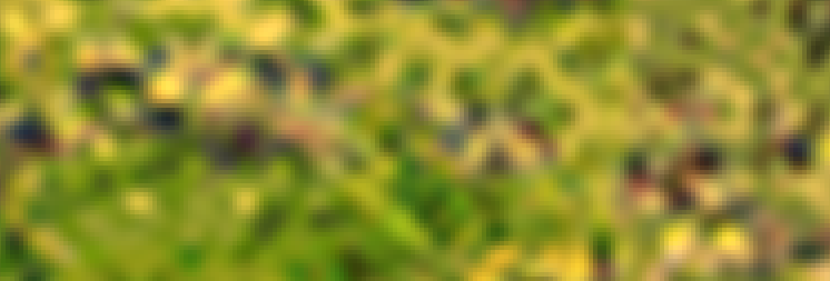 8dzAey2.png