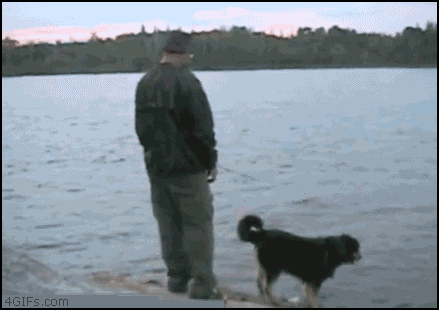 P3Fk06o.gif